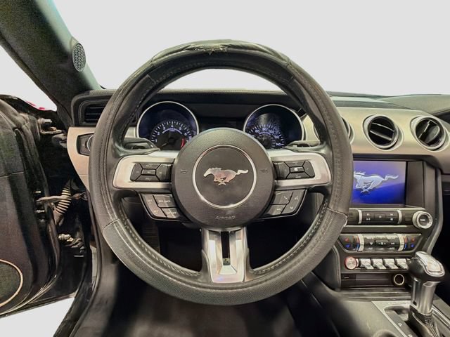 Used 2019 Ford Mustang Premium RWD image 9