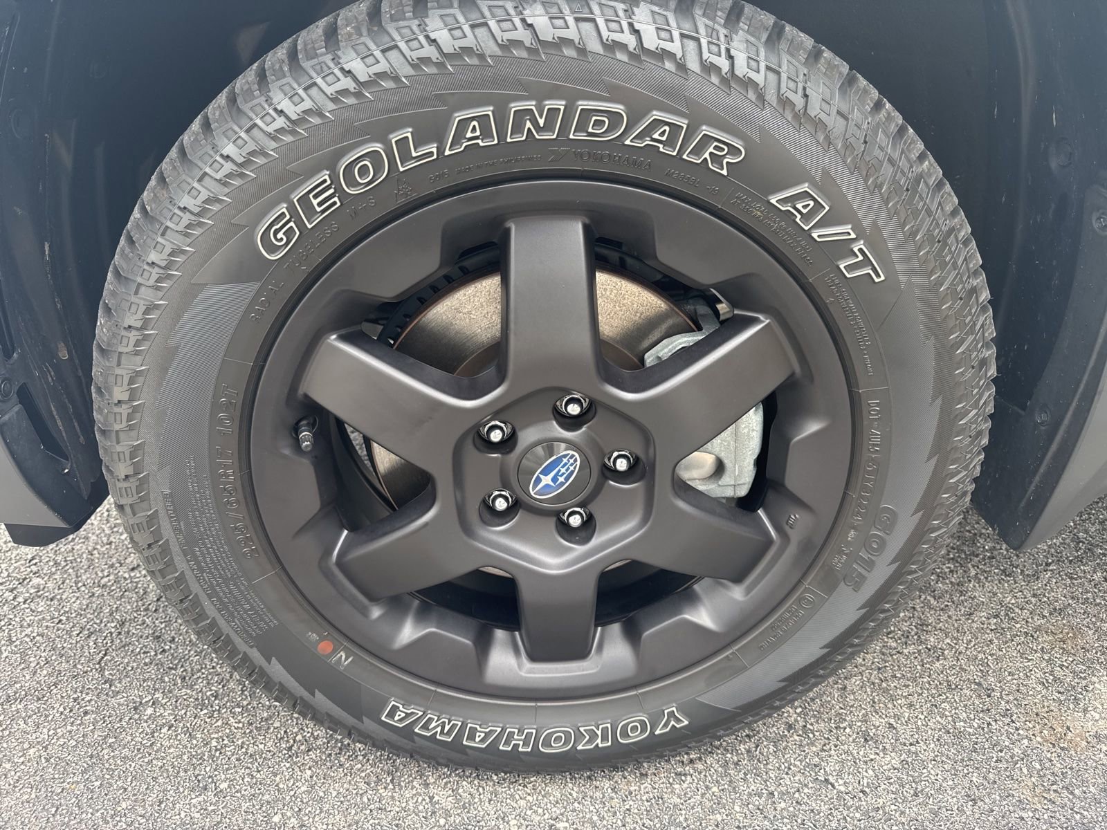 Used 2025 Subaru Outback Wilderness AWD/4WD image 7