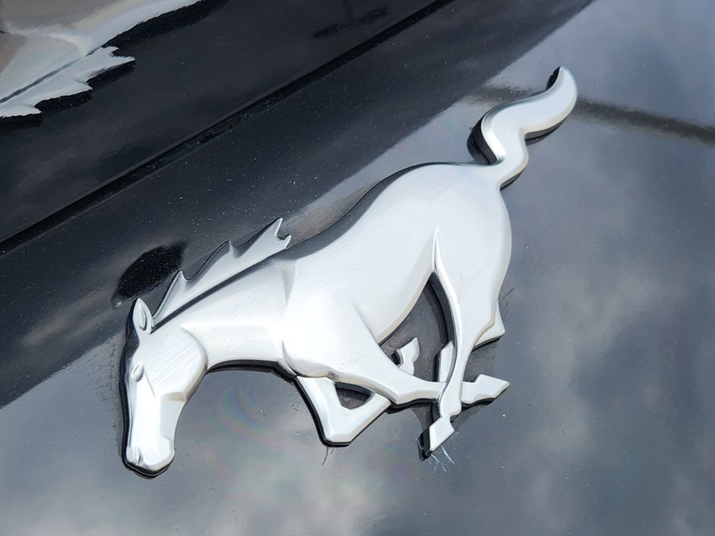 Used 2024 Ford Mustang Premium image 14