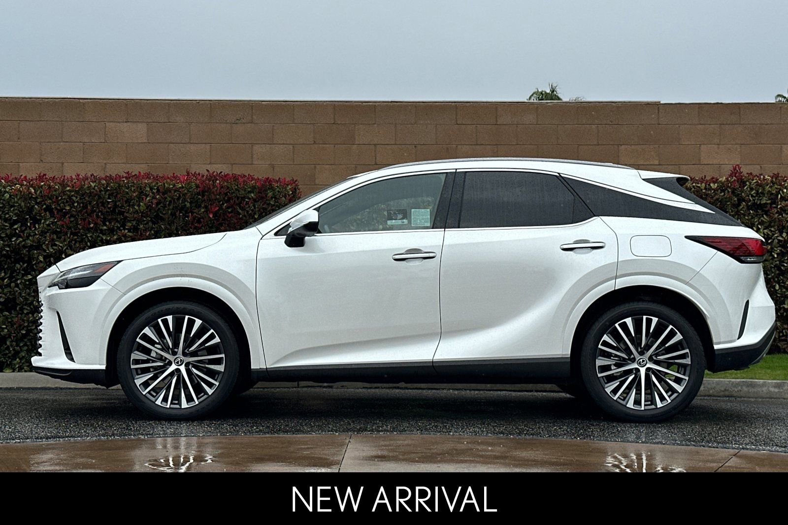 Certified 2023 Lexus RX 350 Premium Plus w/ Cold Area Package image 7