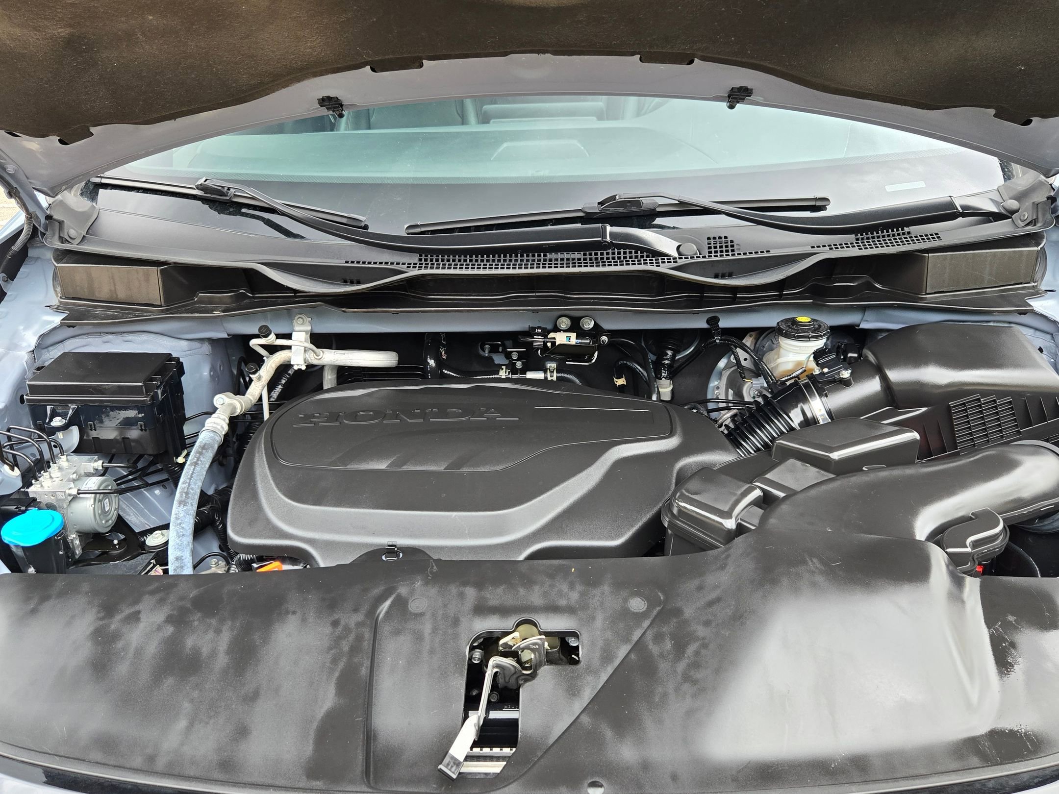 Used 2024 Honda Odyssey Sport image 29