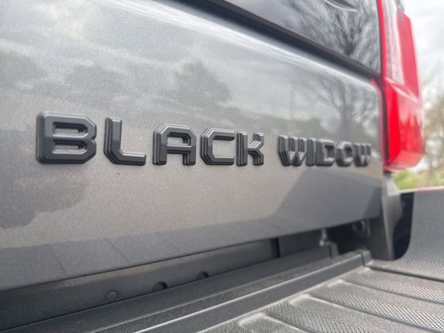 Used 2025 Ford F250 Platinum image 34