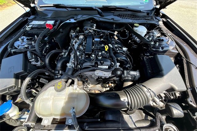 Used 2023 Ford Mustang Premium image 7