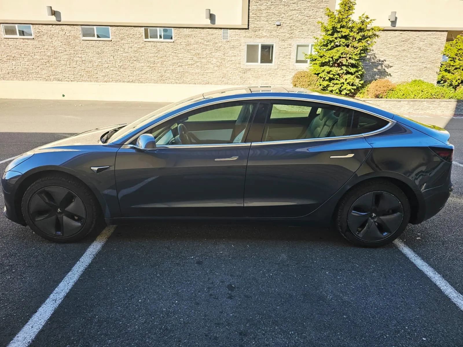 Used 2019 Tesla Model 3 Standard Range Plus image 2