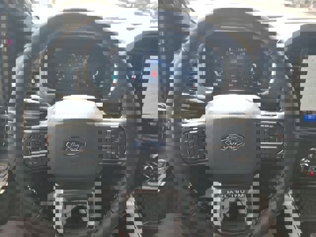 New 2026 Ford F150 Platinum image 19
