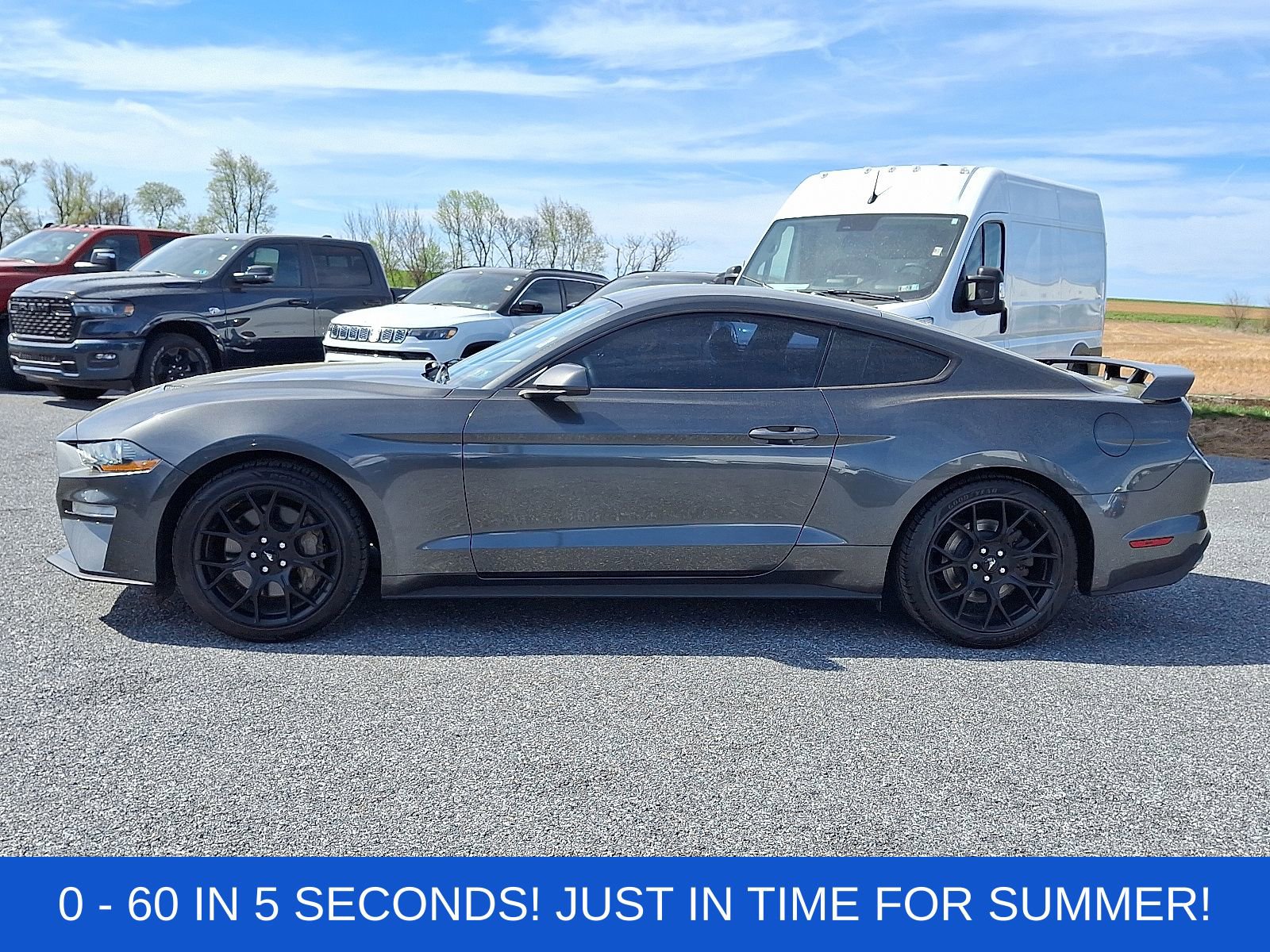 Used 2019 Ford Mustang Coupe w/ Ecoboost Performance Package image 4