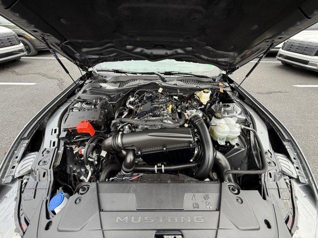 Used 2025 Ford Mustang Coupe image 11
