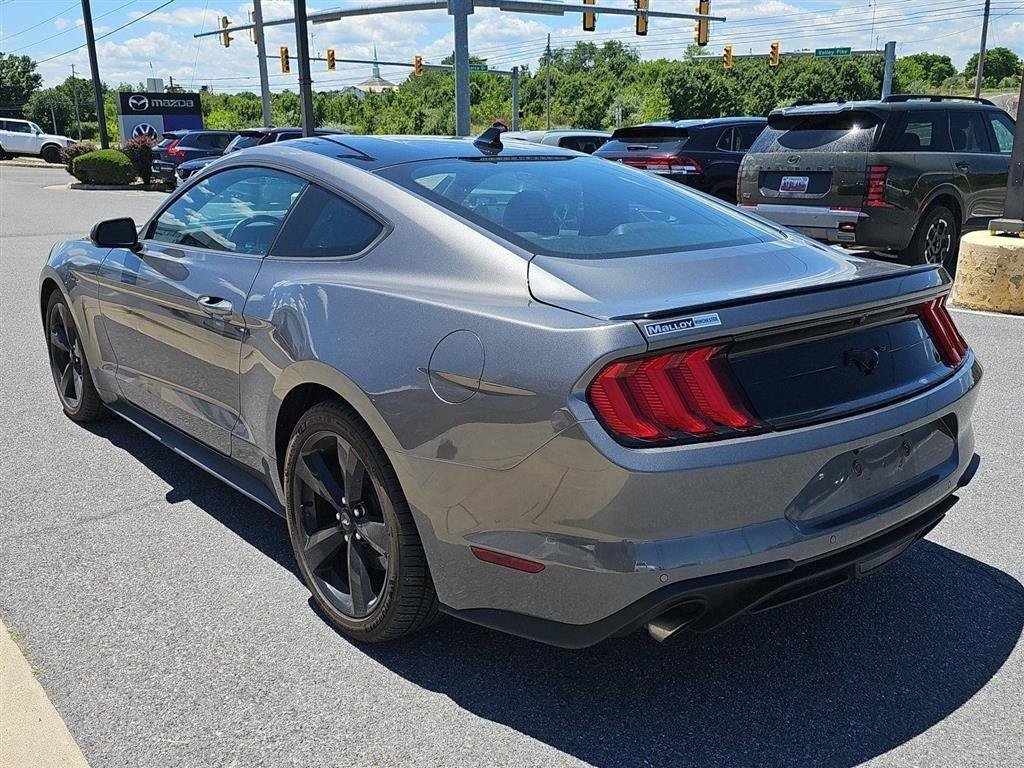 Used 2023 Ford Mustang Premium w/ Mustang Nite Pony Package RWD image 4