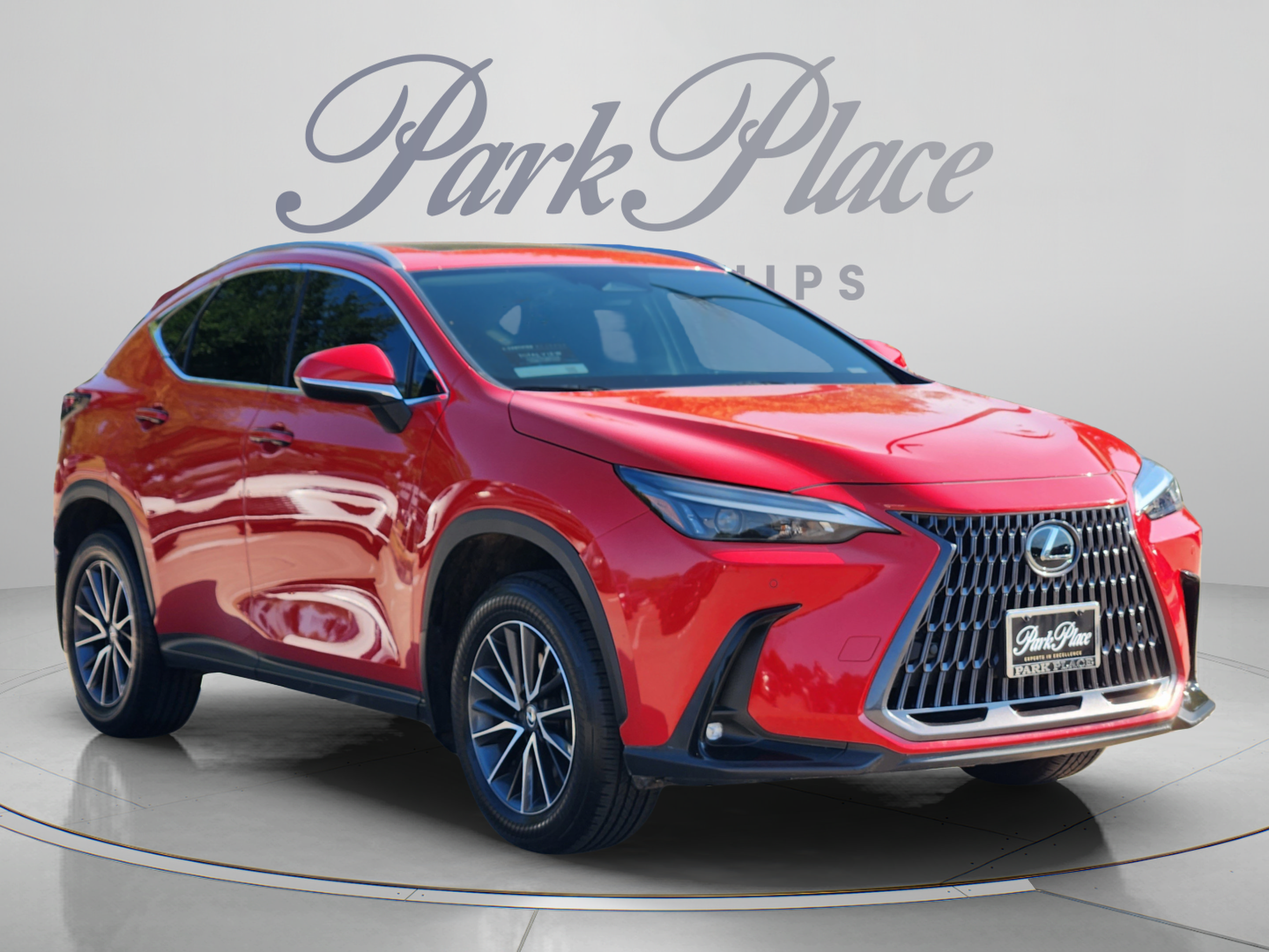 Certified 2025 Lexus NX 250 FWD w/ Cold Area Package image 4