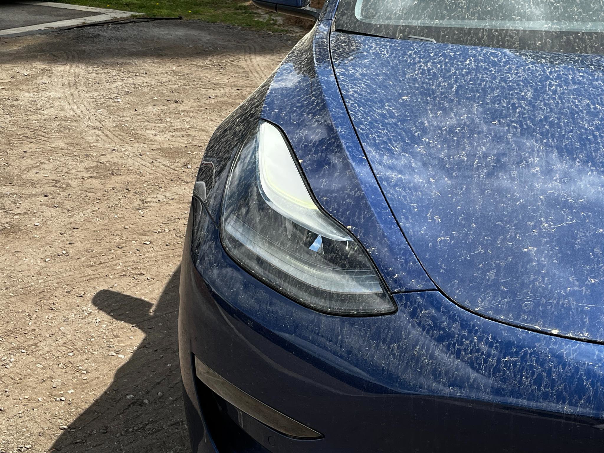 Used 2021 Tesla Model 3 Long Range image 17