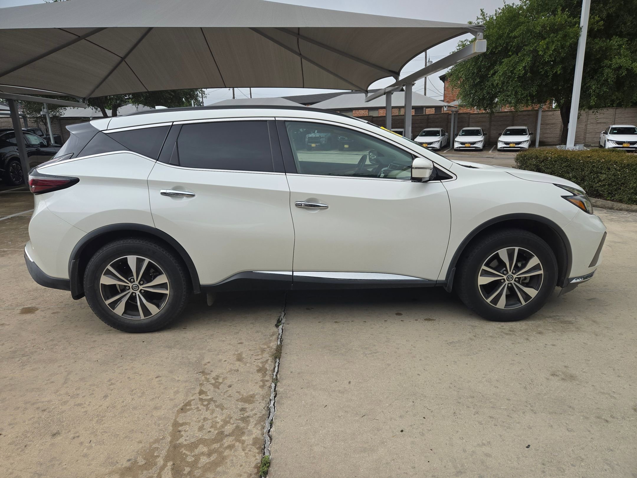 Used 2019 Nissan Murano SV w/ Premium Package FWD image 2