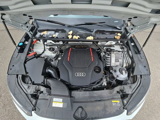 Used 2022 Audi SQ5 Premium Plus w/ Premium Plus Package image 18