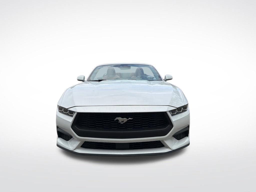 Used 2024 Ford Mustang Premium RWD image 3