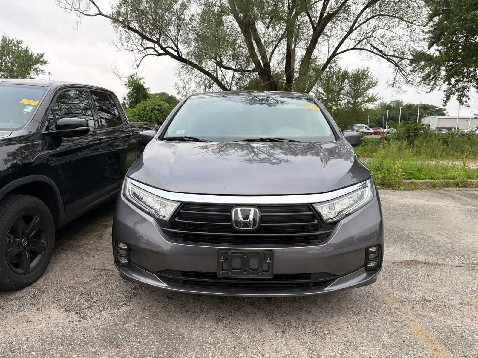 Used 2024 Honda Odyssey EX-L image 4
