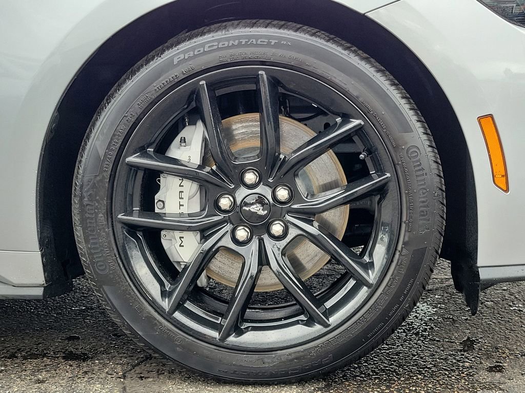 Certified 2025 Ford Mustang GT Premium w/ Mustang Nite Pony Package image 9