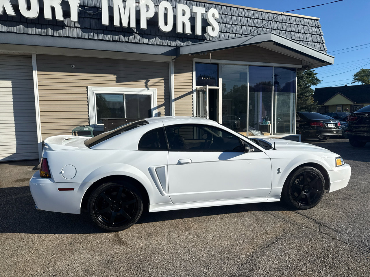 Used 1999 Ford Mustang Cobra image 4