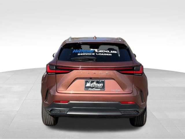 Used 2025 Lexus NX 350 AWD w/ Cold Area Package image 6