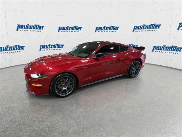Used 2023 Ford Mustang Coupe w/ Equipment Group 101A image 5