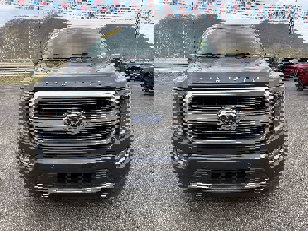 Used 2021 Ford F150 Limited image 11