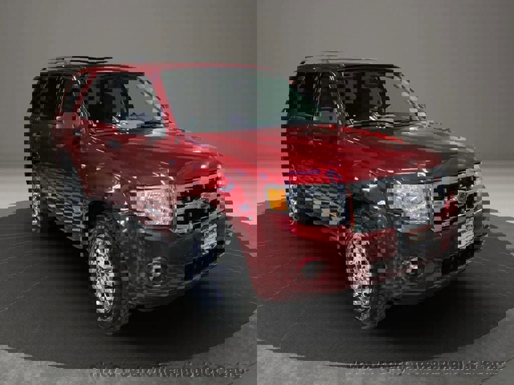 Used 2008 Ford Escape XLT image 1