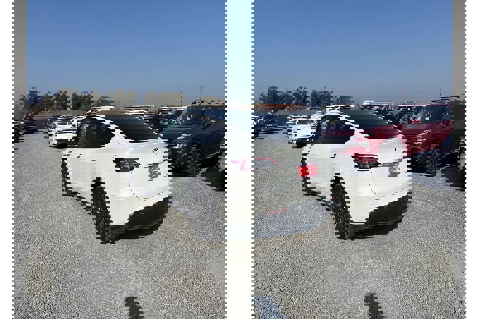 Used 2022 Tesla Model Y Long Range image 3