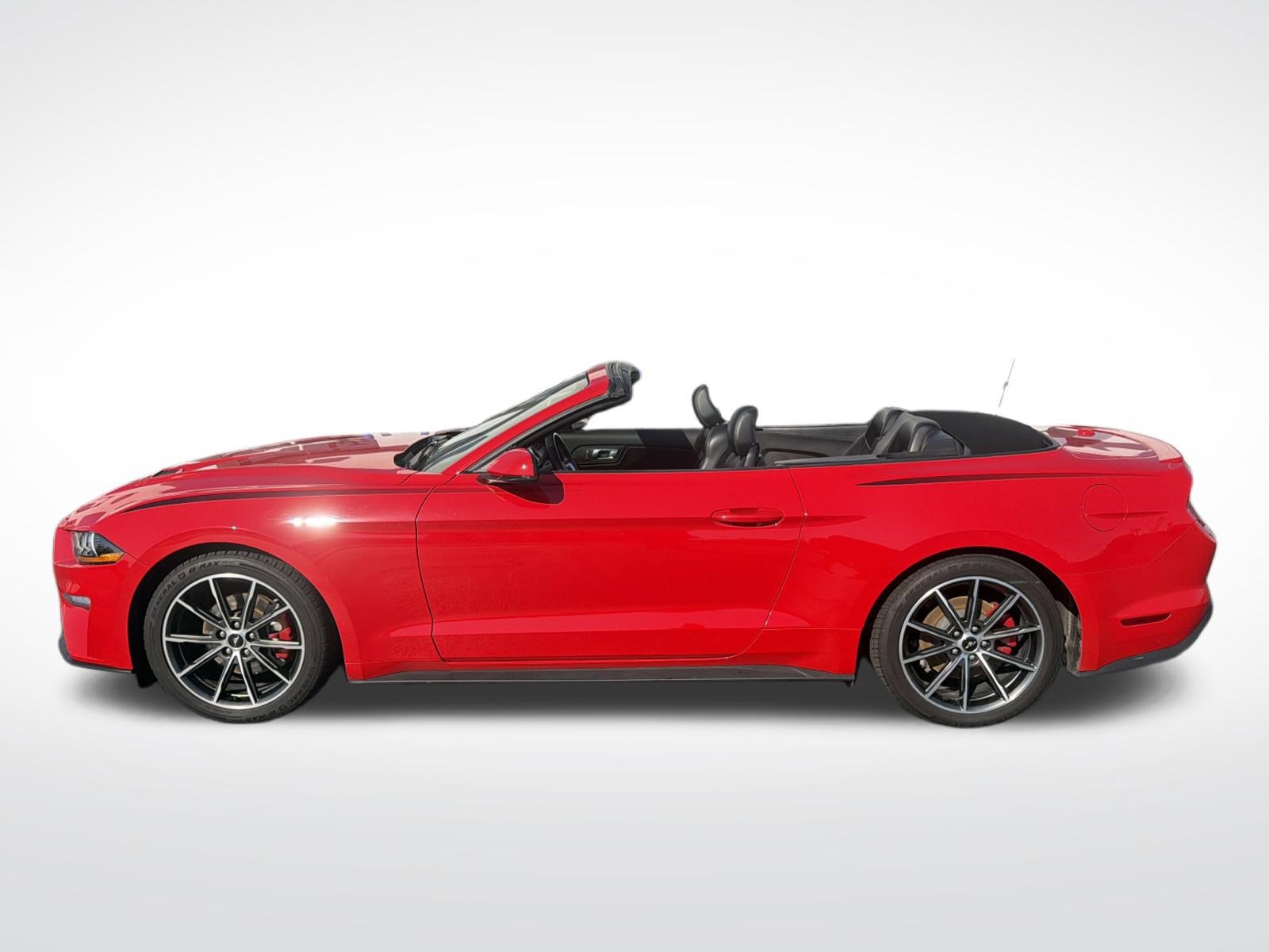 Used 2019 Ford Mustang Premium w/ Equipment Group 201A RWD image 24