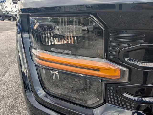 New 2025 Ford F150 XL image 11