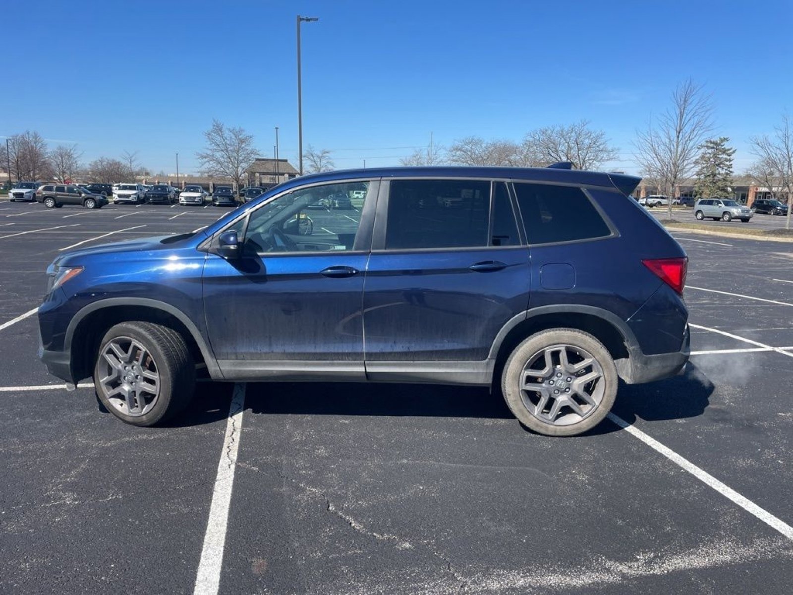 Used 2023 Honda Passport EX-L image 7