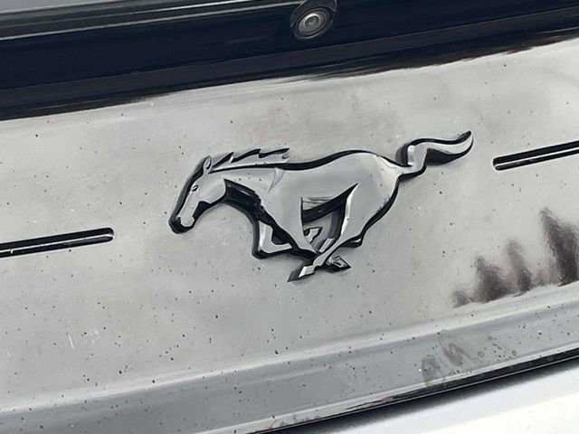 Used 2020 Ford Mustang Premium w/ Black Accent Package image 11