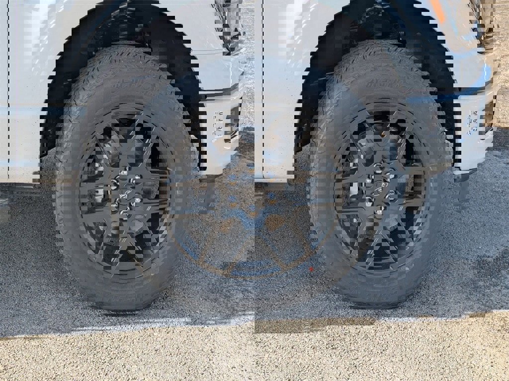 New 2025 Ford F150 STX w/ STX Black Appearance Package image 21