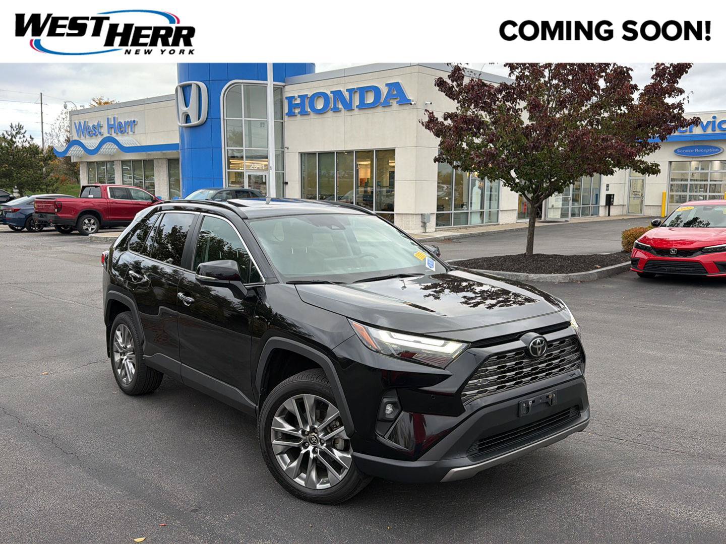 Used 2024 Toyota RAV4 Limited w/ Weather Package