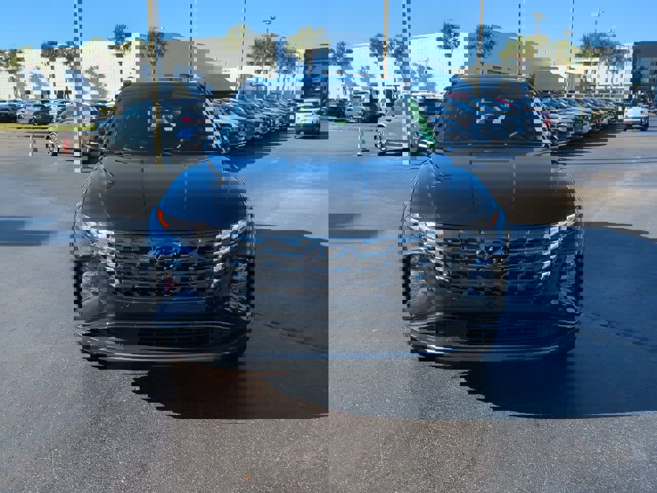 Used 2024 Hyundai Tucson Limited image 9