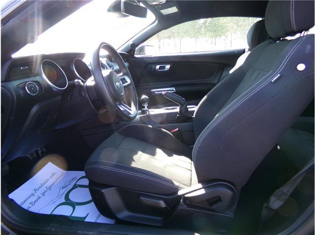 Used 2021 Ford Mustang Coupe RWD image 19
