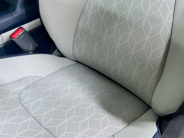 New 2026 Kia Carnival SX image 20