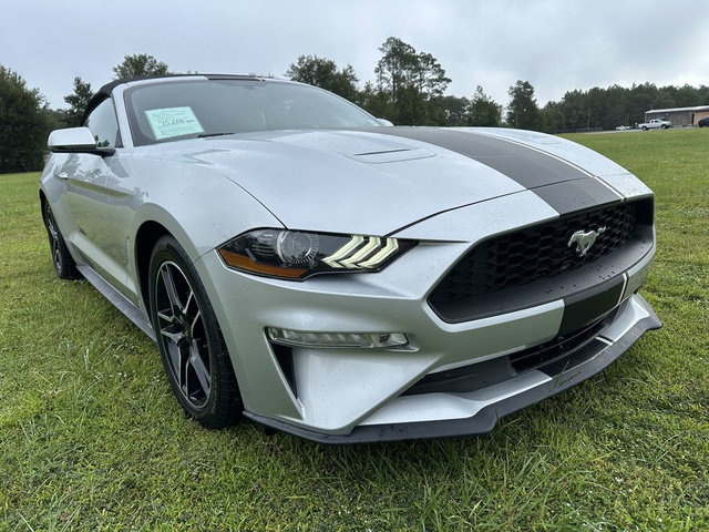 Used 2019 Ford Mustang Premium RWD image 6