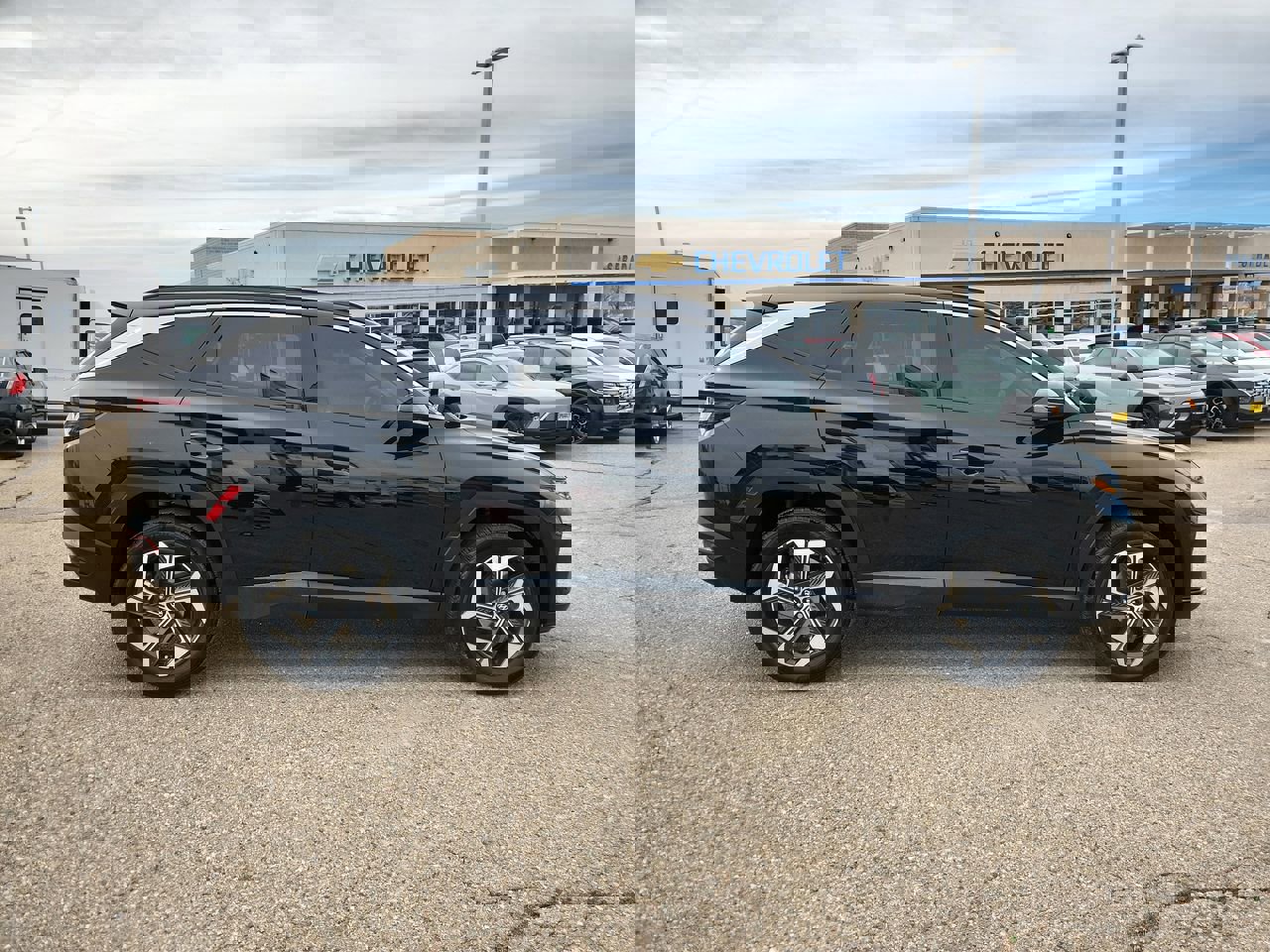 Used 2024 Hyundai Tucson Limited image 9