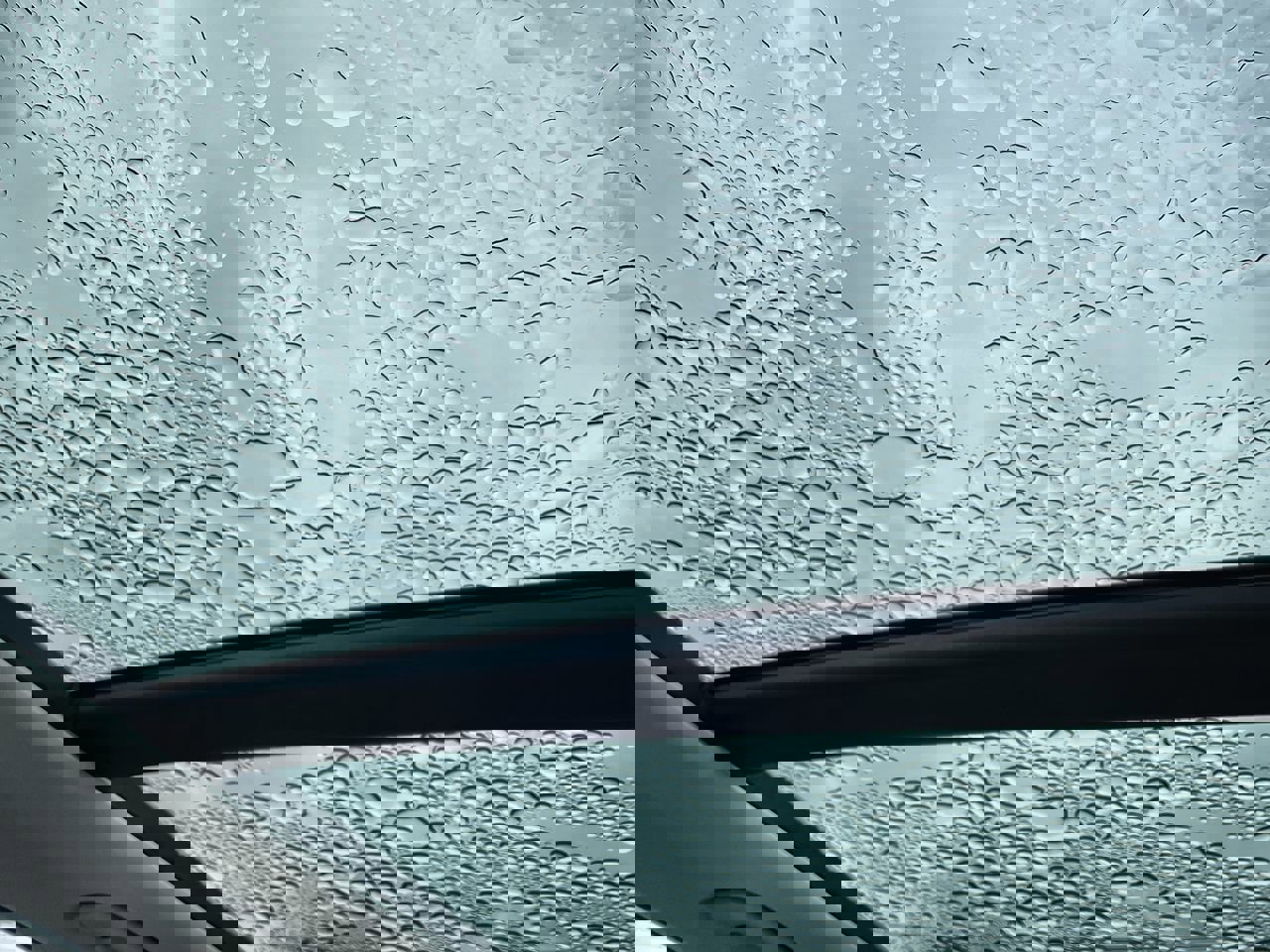 Used 2022 Kia Sorento X-Line EX image 16