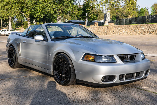 Used 2003 Ford Mustang Cobra image 12