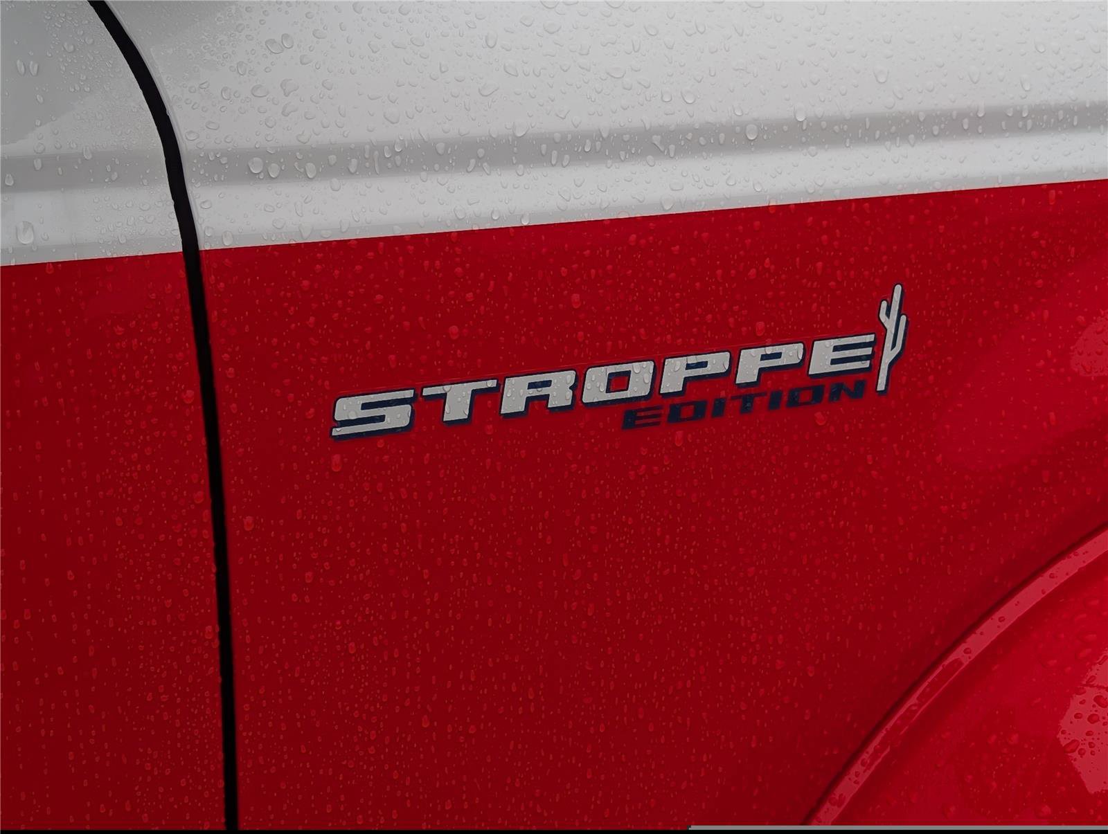 Used 2025 Ford Bronco Stroppe Edition image 9