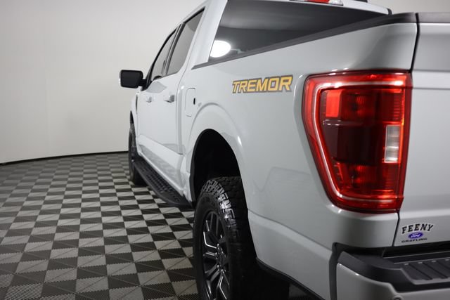 Used 2023 Ford F150 Tremor AWD/4WD image 28