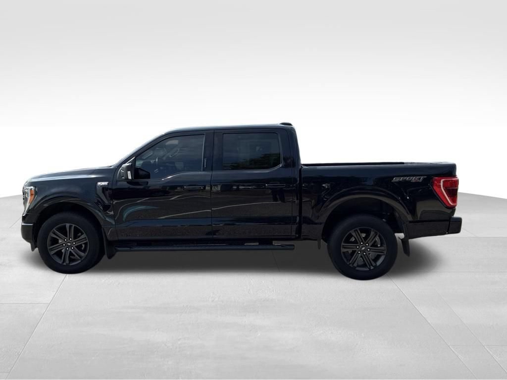 Used 2021 Ford F150 XLT w/ Equipment Group 302A High AWD/4WD video 2