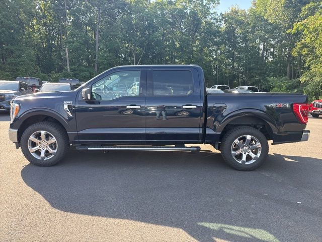 Used 2021 Ford F150 XLT w/ Equipment Group 302A High AWD/4WD video 2