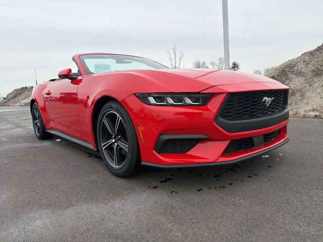Used 2024 Ford Mustang Premium