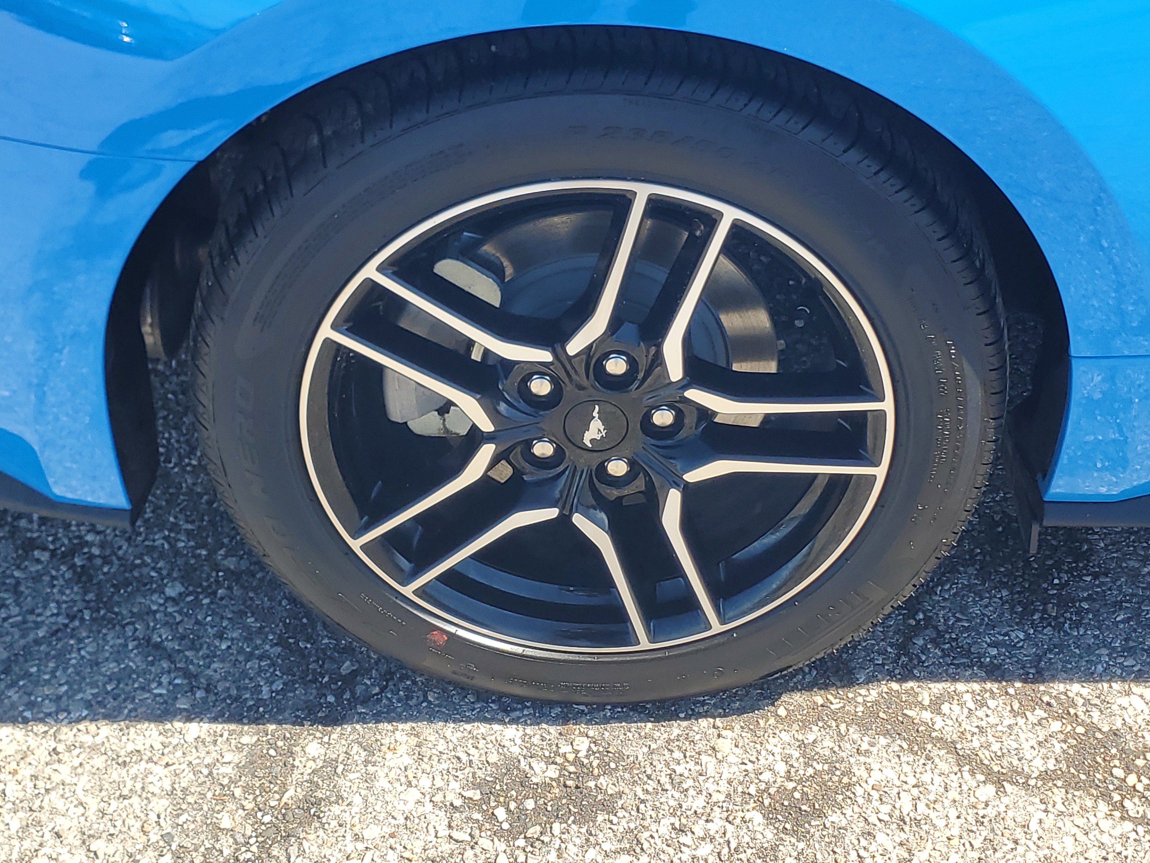 Used 2023 Ford Mustang Premium w/ Equipment Group 201A RWD image 7