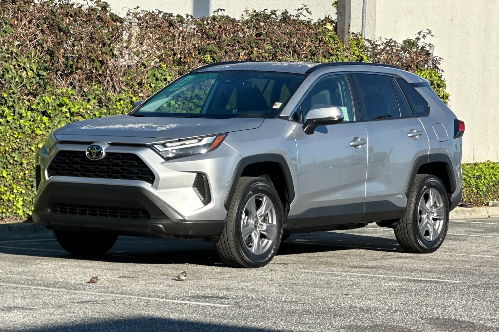 Used 2025 Toyota RAV4 XLE image 9