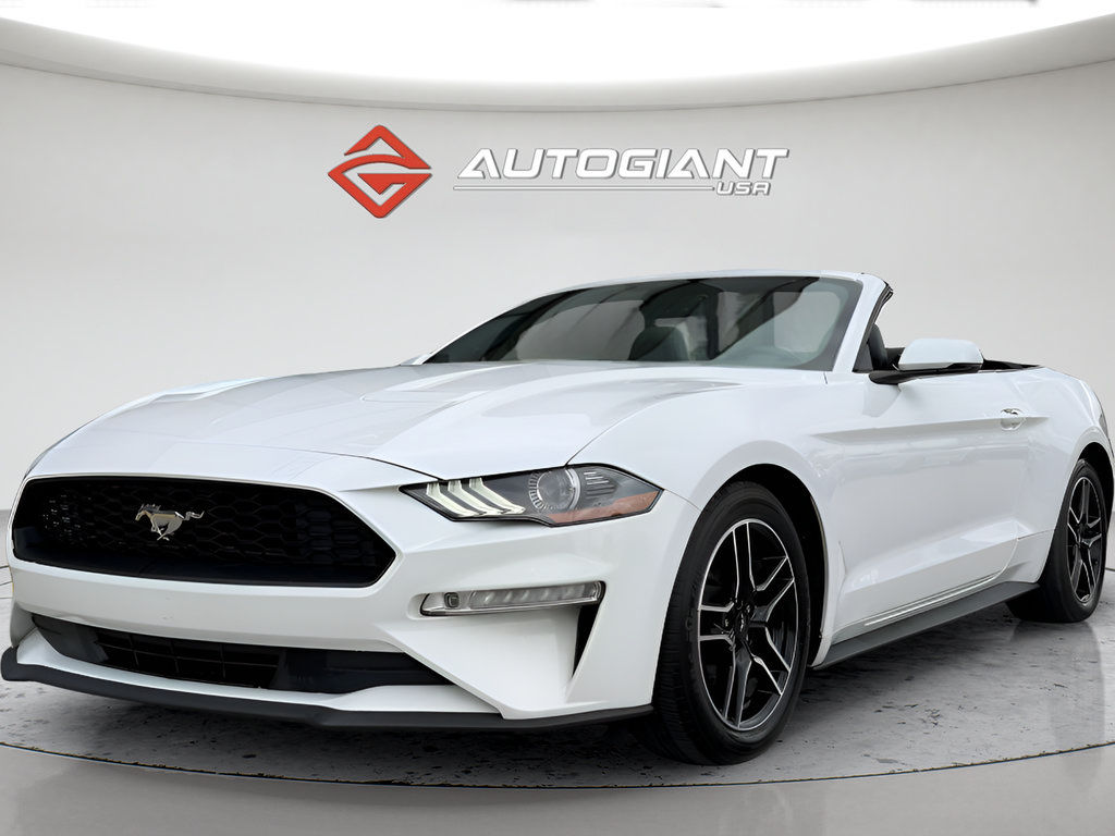 Used 2019 Ford Mustang Premium RWD image 5