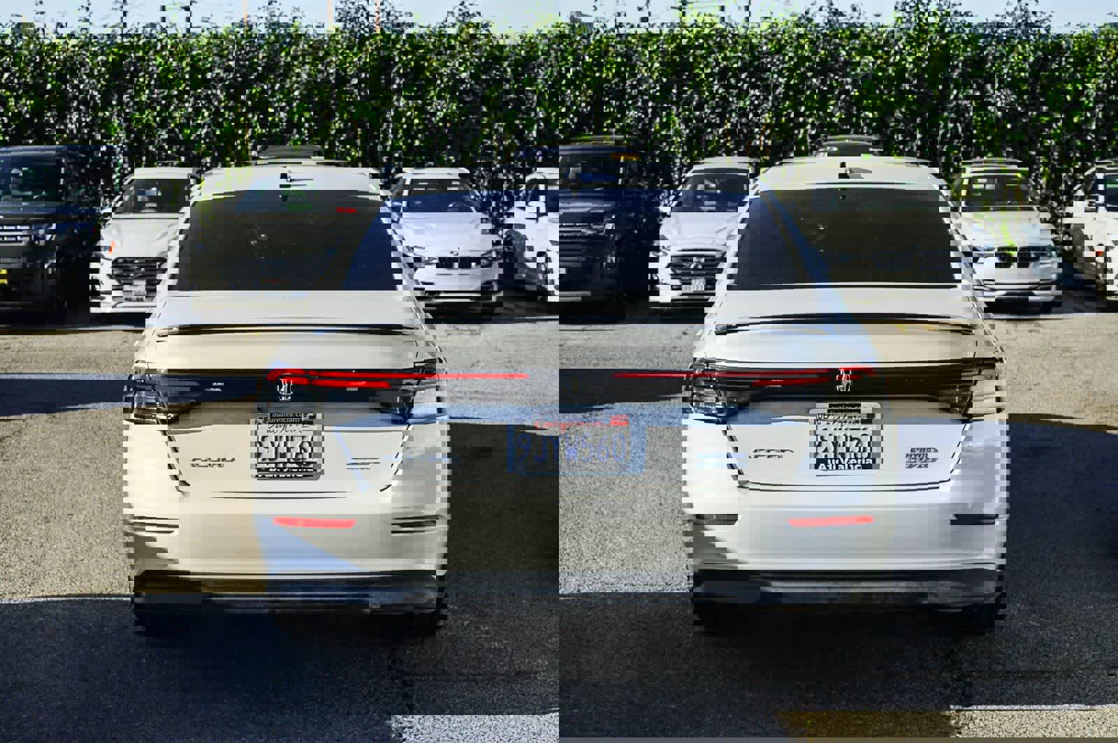 Used 2024 Honda Accord Sport image 3