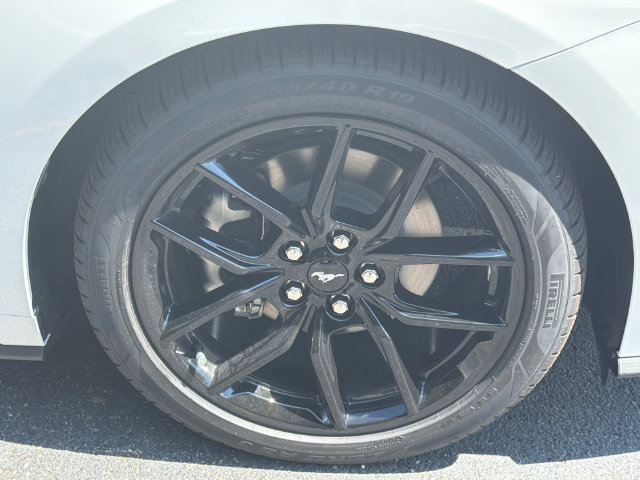 New 2026 Ford Mustang Coupe w/ Mustang Nite Pony Package RWD image 13