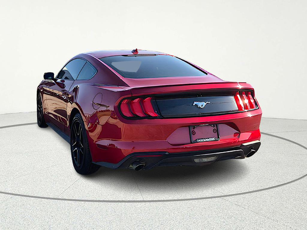 Used 2023 Ford Mustang Premium w/ Equipment Group 201A image 4