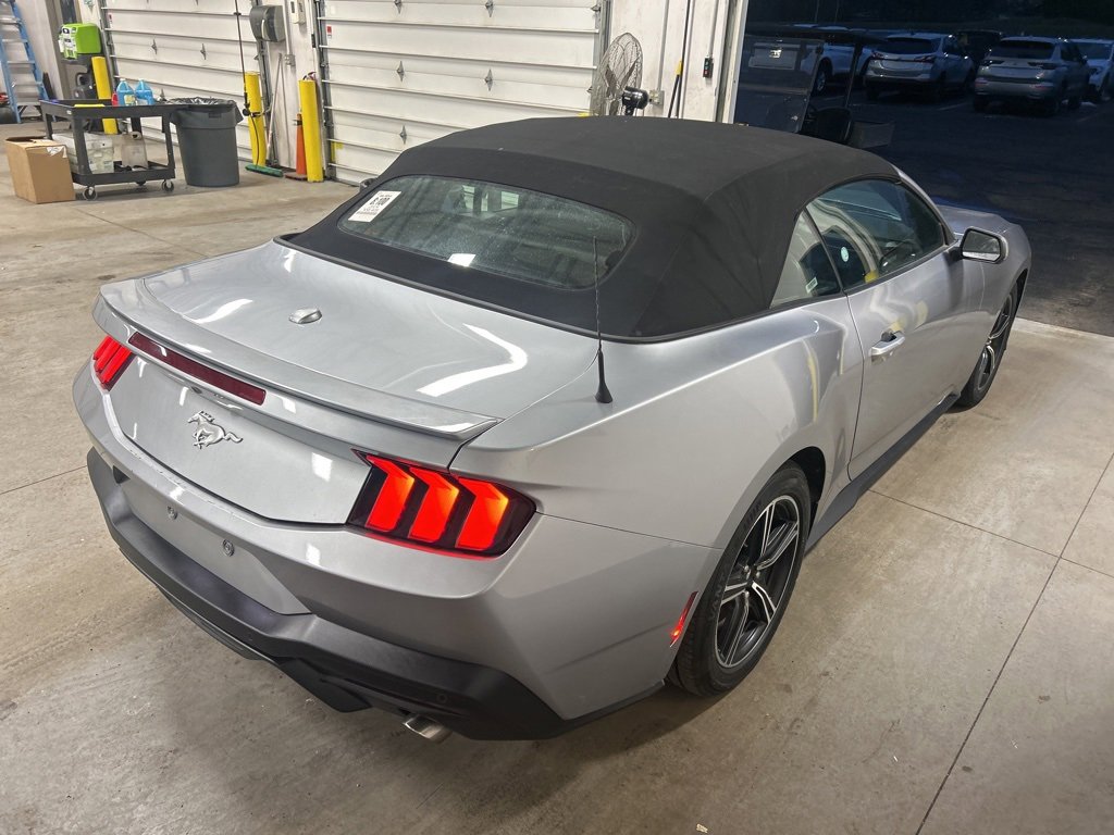 Used 2024 Ford Mustang Premium image 6
